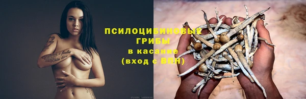 спайс Вязьма